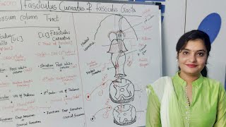 SPINAL CORD | FASCICULUS GRACILIS & FASCICULUS CUNEATUS TRACT | PART - 5