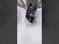 Big bad snow ￼
