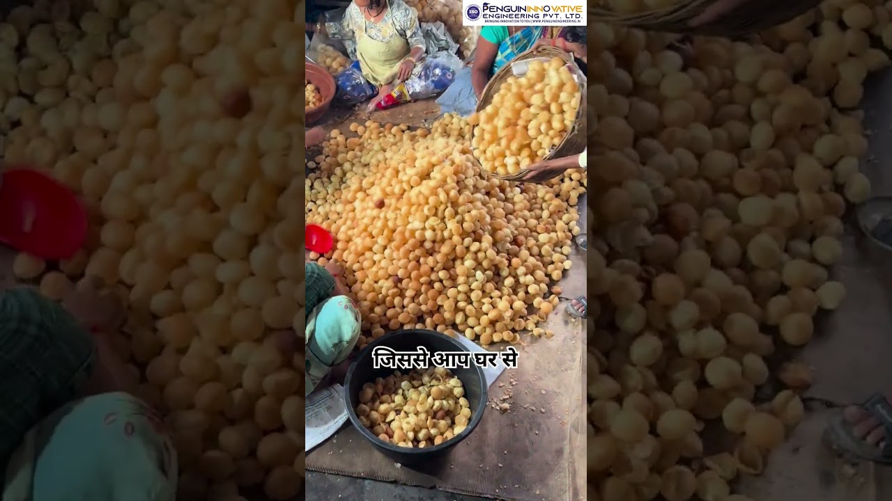 Panipuri Machine | Panipuri Business |Panipuri Making Machine |Golgappa Machine | Golgappa Business