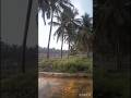 Rainy Days After Extreme Heat 🌧️ | Nature’s Relief in Hot Climate | Farm Life