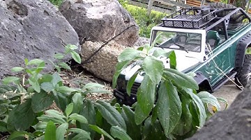 Axial dingo project and adventures