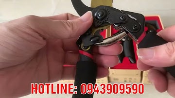 Kéo Cắt Tỉa Cây Cảnh Chất Thép SK5 Là Giải Pháp Hợp Lý Cho Vườn Cây Cảnh
