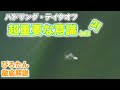 【ロングボードサーフィン】パドリングからテイクオフの意識をぴろたんが徹底解説!