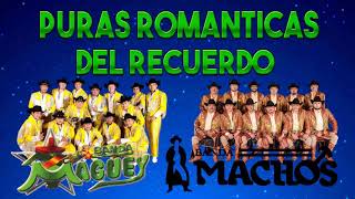 BANDA MACHOS VS BANDA MAGUEY - PURAS ROMANTICAS DEL RECUERDO