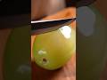 Lumen Cut — Crystal Fruit • Resin Art • Visual ASMR