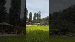 일자산 영상