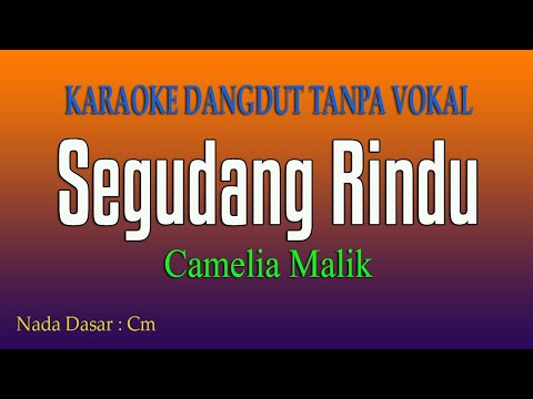 SEGUDANG RINDU Camelia Malik - Karaoke Tanpa Vokal