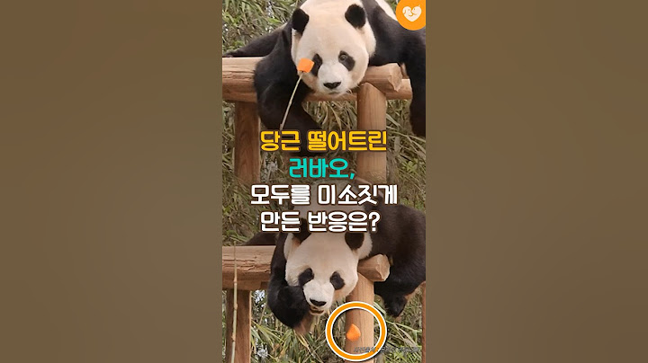 당근 화장실에 떨어트린 러바오, 모두를 미소짓게 만든 반응  #shorts #러바오 #판다