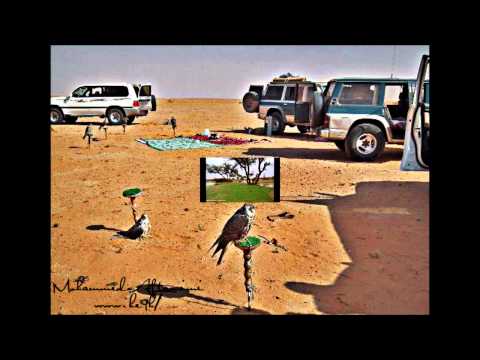 لاضاق بالي