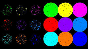 The Team Eliminations Marble Race 17 in Algodoo