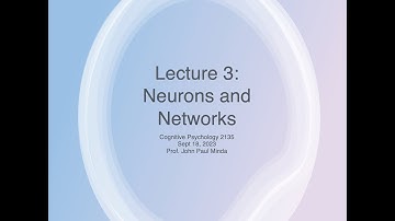 Cognitive Psychology (2135A), 2023 Lecture 3: Cognitive Neuroscience pt 2