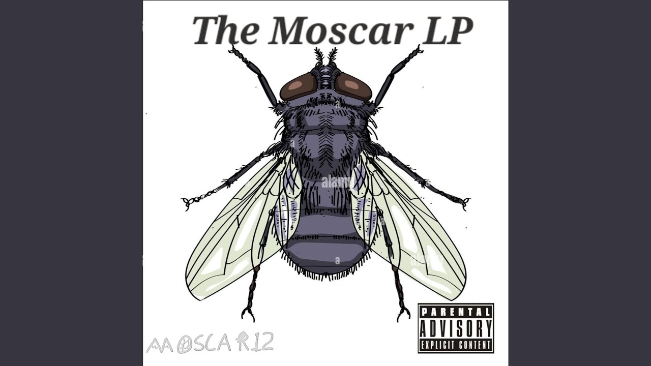 Obejrzyj we the same w YouTube Obejrzyj we the same w YouTube