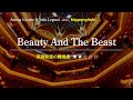 【カタカナで歌える洋楽・最強の英語学習ツール】Beauty And The Beast・Ariana Grande &amp; John Legend をNipponglishで歌って英語をマスター!概要欄へ