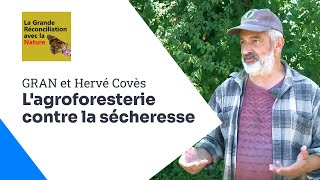 Eau et agroforesterie en condition sèche, Hervé Covès