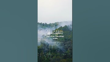 سورة المؤمنون(٨٤ - ٩١)🌱🤍 #قران_كريم #قرآن #شفاء_الروح #شفاء_القلوب #quranquotes #quran