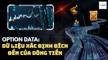 🔥 TẬP 3 –Options Data - Dữ liệu xác định đích đến của dòng tiền | TRUY VẾT CÁ VOI