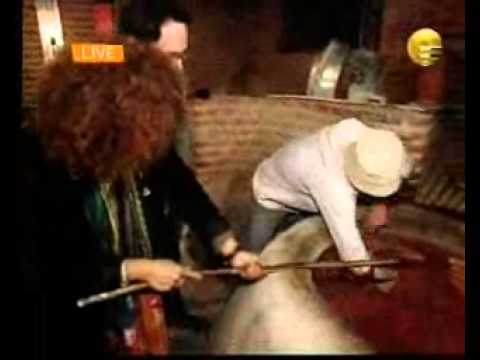 tania maria in georgia