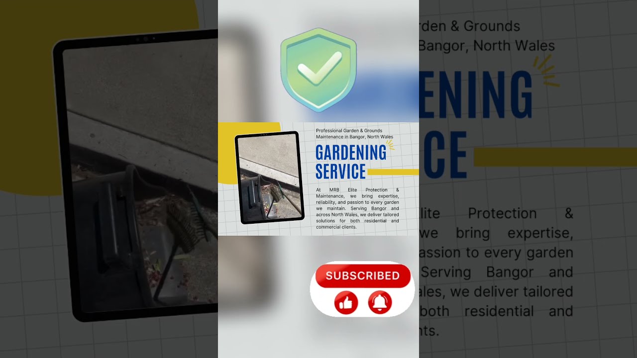 🛡️ Bold • Secure • Professional – The Ultimate Security Guard Service Logo! 🚨