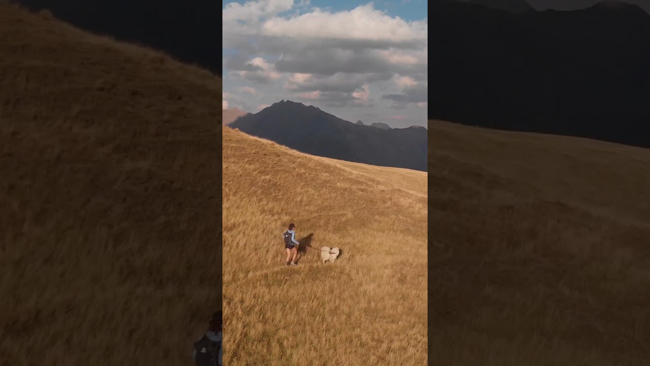 Trail running with the best training buddy