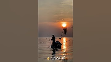 릿지, 라쏘, 엘라스틱 넷에 대해 알아보자  #빅데이터 #머신러닝 #데이터분석