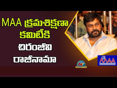 &rsquo;మా&rsquo; క్రమశిక్షణా కమిటీకి చిరంజీవి రాజీనామా | NTV Entertainment