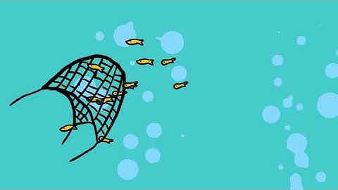 What is ghost fishing? –With Paul Snelgrove