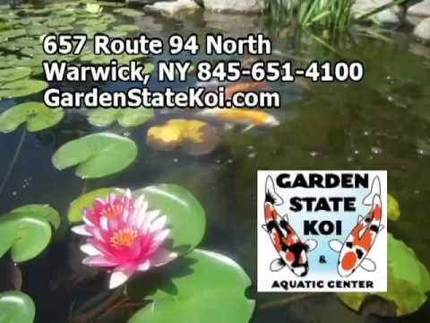 Garden State Koi Converted Converted Youtube