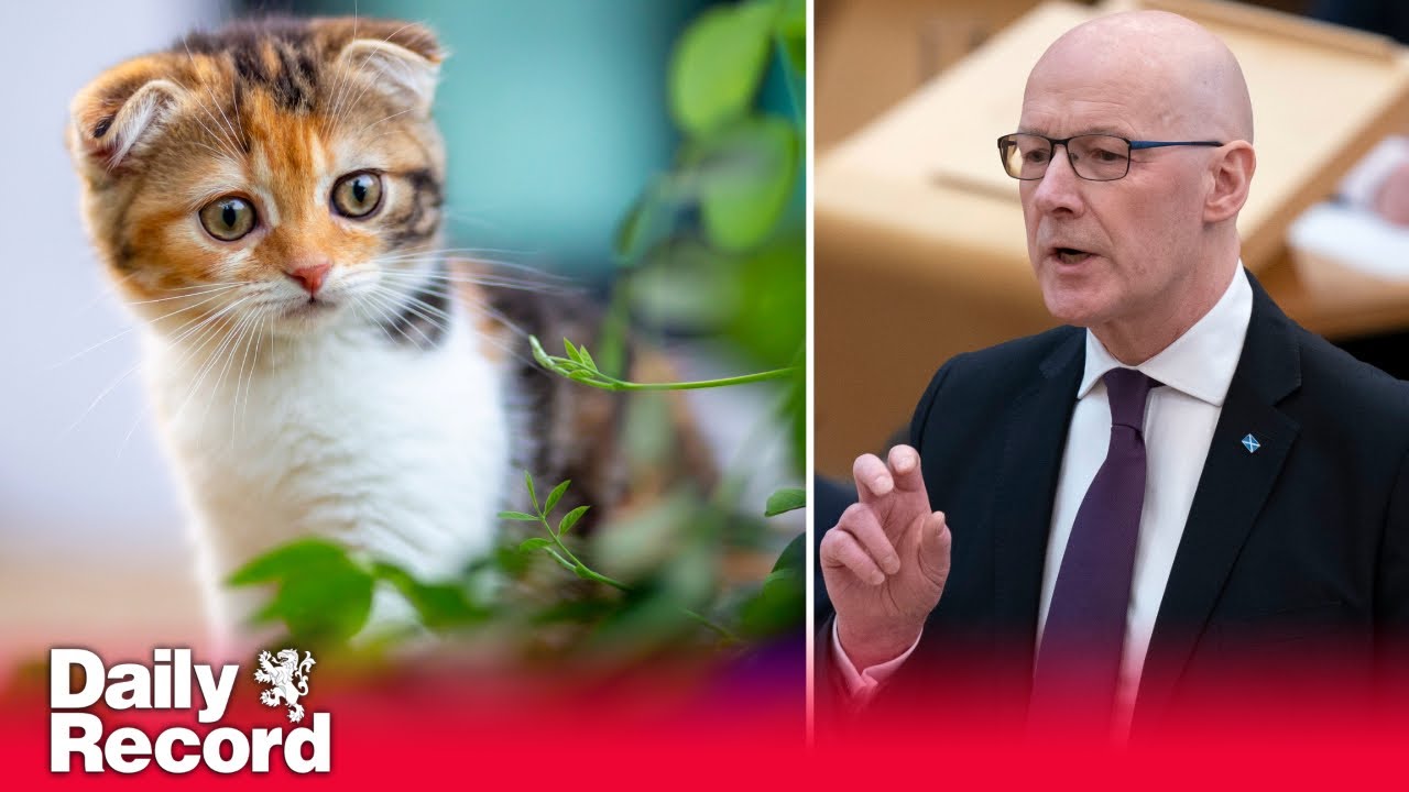Scottish Government has ‘no intention’ of banning cats says First Minister John Swinney