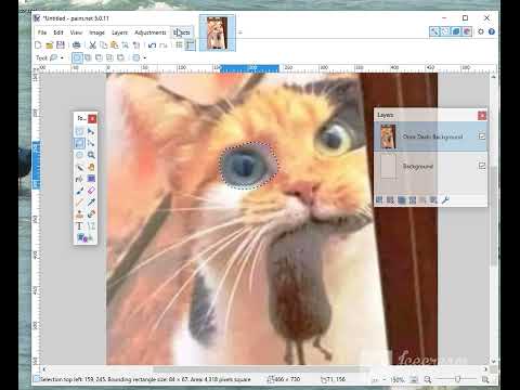 How to use the Content Aware Fill Plugin in Paint.net software.