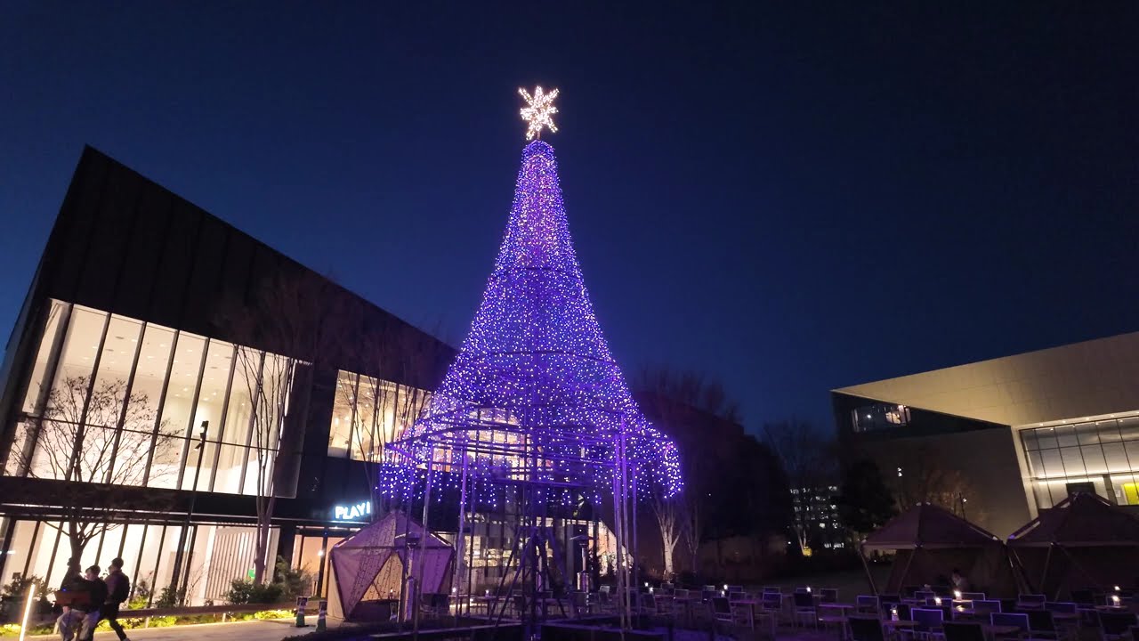 たちかわイルミネーション 2025-2026｜ケヤキ並木が光に包まれる夜散歩｜2025.1.10(土)