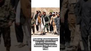 Taliban Opens Fire on Protesters raising Afghan Flag. #shorts