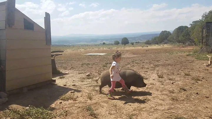 Emilia & Maxwell SEP 2nd, 2017