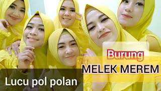 BURUNG PANTUN PALING AMBYAR  MELEK MEREM