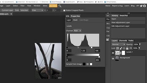 Photopea.com Levels Adjustment layer to improve exposure and contrast