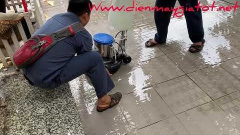 Máy chà sân rêu | Chuyên cung cấp máy chà sàn HiClean chính hãng Hotline 0907274444