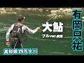 尺鮎狙い＆数釣り！有岡只祐が高知県四万十川で30．3cmを超えを目指す 1/2 『鮎2017』＜フルver＞【釣りビジョン】