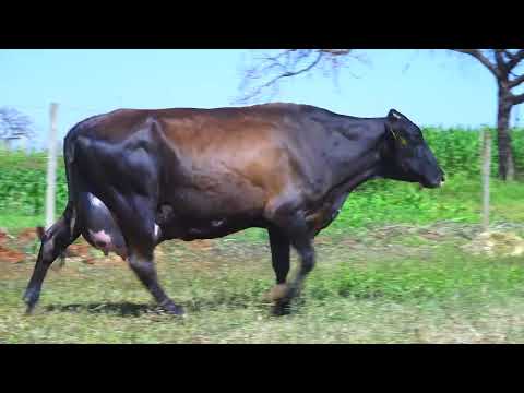 LOTE 16 Andorra 6280-BZ