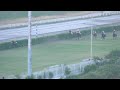 3rd Race The Mangla Dam Plate Distance 900 Meters Winner Suzu Queen ( Pakistan Horse Racing )