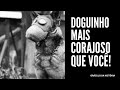 SATÃ, UM CÃO HERÓI DA PRIMEIRA GUERRA MUNDIAL