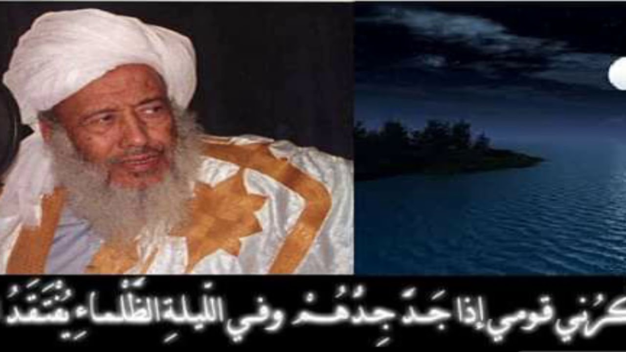 أهمية اللغة العربية  | لمحمد سالم بن عبد الودود