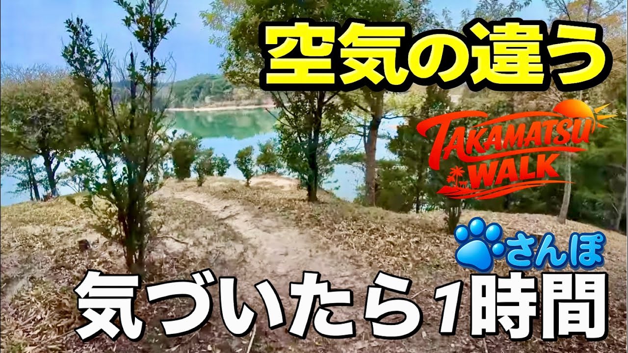 【中古】 関東周辺森を歩く 4K】公渕森林公園｜静かな遊歩道を1時間ノーカット散歩Kinbuchi Forest
