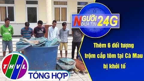 Người đưa tin 24G (18g30 ngày 03/06/2020) - Thêm 6 đối tượng trộm cắp tôm tại Cà Mau bị khởi tố