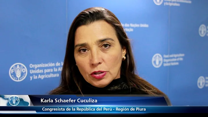 Karla Schaefer - Congresista Peru