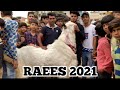 RAEES 2021 Ajju Ustaad Coming Soon On NBT