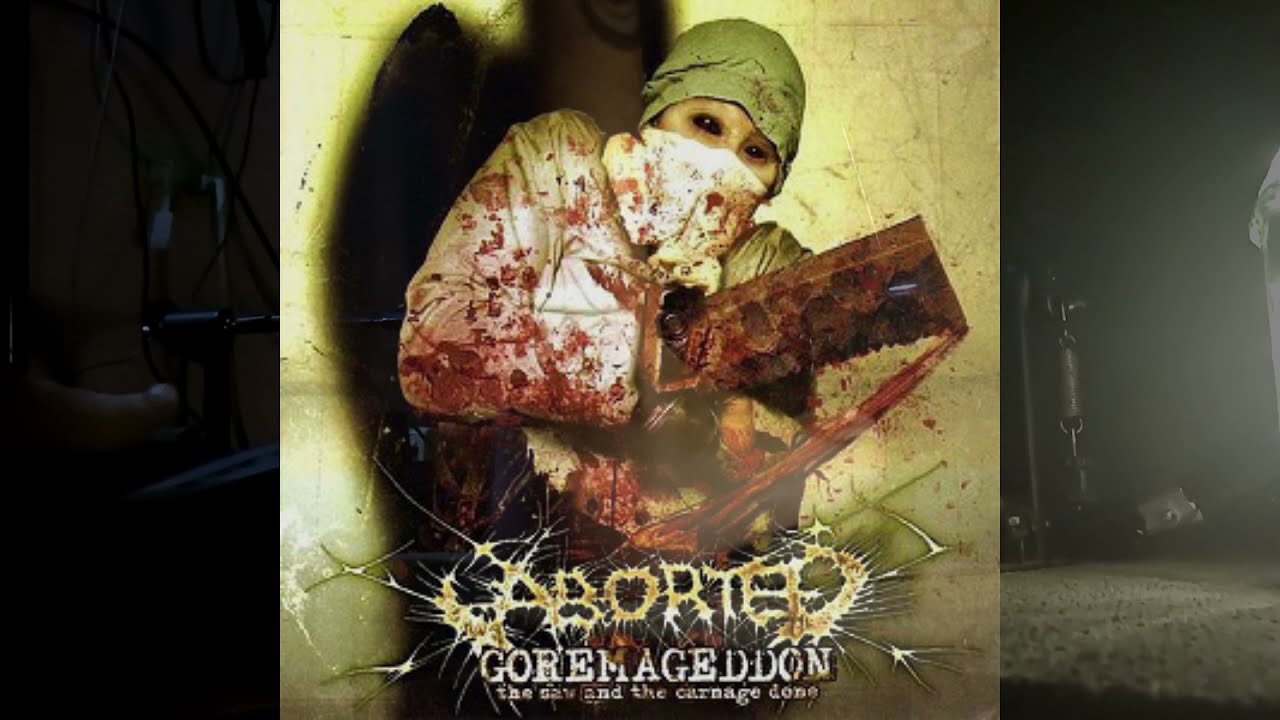 Aborted - Meticulous Invagination Drum Cover