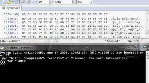 Application hack with HxD