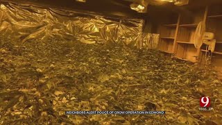 Edmond Police Discover Large Number Of Marijuana Plants In Residential Neighborhood