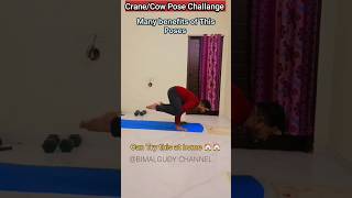 Hand Stand challenge||Crane Pose benefits|Cow Pose||Home workout #shorts #bimalgudy #viral #youtube