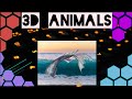 3D Video  / 3D වීඩියෝ හදමු