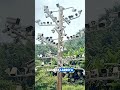 Puluhan CCTV Dipasang di Satu Tiang #shorts